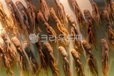 홍삼정과, root, 인삼, 약초, 뿌리, 사진,이미지,일러스트,캘리그라피 - 참 아름다우리라작가 크라우드픽 - 저작권 걱정 없는 상업용 이미지