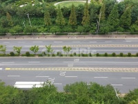 도로, 가로수, 차, 자동차, 중앙분리대, 사진,이미지,일러스트,캘리그라피 - 미르온작가 크라우드픽 - 저작권 걱정 없는 상업용 이미지