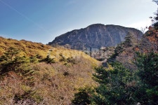 남벽, 조릿대, 한라산, 한라산국립공원, 제주도, 사진,이미지,일러스트,캘리그라피 - Deep bLUE작가 크라우드픽 - 저작권 걱정 없는 상업용 이미지