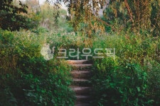 outdoors, 옥외, 생태공원, 햇빛, 자연, 사진,이미지,일러스트,캘리그라피 - Nujlleb작가 크라우드픽 - 저작권 걱정 없는 상업용 이미지