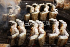 음식, food, cook, meal, 장어, 사진,이미지,일러스트,캘리그라피 - Nbocrates68작가 크라우드픽 - 저작권 걱정 없는 상업용 이미지