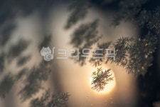 성애, 차창, 아침, 빛, 겨울, 사진,이미지,일러스트,캘리그라피 - 윤슬아작가 크라우드픽 - 저작권 걱정 없는 상업용 이미지