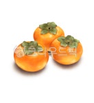 감, 단감, 과일, 제철과일, 과일일러스트, 사진,이미지,일러스트,캘리그라피 - 디지털팔레트작가 크라우드픽 - 저작권 걱정 없는 상업용 이미지