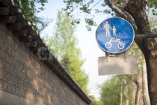 창경궁, 봄, 보행자신호, 부모, 아이 사진, 이미지 - stephen작가 가장 한국적인 스톡 사진 - 크라우드픽