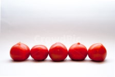 토마토, 과일, 배경, 음식, 열매, 사진,이미지,일러스트,캘리그라피 - 치타작가 크라우드픽 - 저작권 걱정 없는 상업용 이미지