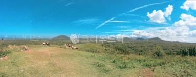 제주, 오름, 산책, 자연, 목초지, 사진,이미지,일러스트,캘리그라피 - bakeryjack작가 크라우드픽 - 저작권 걱정 없는 상업용 이미지