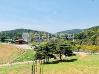 nature, 자연, 초원, 목장, 농장, 사진,이미지,일러스트,캘리그라피 - paradox83작가 크라우드픽 - 저작권 걱정 없는 상업용 이미지