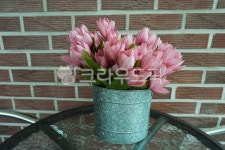 plant, 식물, flowerbouquet, flowerarrangement, 꽃꽂이, 사진,이미지,일러스트,캘리그라피 - 오월해작가 크라우드픽 - 저작권 걱정 없는... 