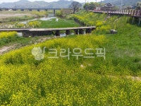 고막천, 석교, 고막천석교, 함평군, 학교면, 사진,이미지,일러스트,캘리그라피 - 푸른감람나무작가 크라우드픽 - 저작권 걱정 없는 상업용 이미지