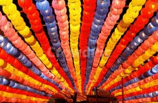 불교, 연등축제, 부처님오신날, lotuslanttern, festival, 사진,이미지,일러스트,캘리그라피 - 댄디제임스작가 크라우드픽 - 저작권 걱정... 