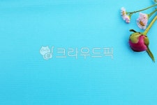배경, 배다지, 소품, 종이, 색감, 사진,이미지,일러스트,캘리그라피 - 함께사는세상작가 크라우드픽 - 저작권 걱정 없는 상업용 이미지