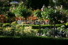 순천만국가정원1호, 테마공원, 자연생태공원, 자연, 옥외, 사진,이미지,일러스트,캘리그라피 - pandora4077작가 크라우드픽 - 저작권 걱정... 