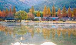 자연, 풍경, 경치, 아침, 안개, 사진,이미지,일러스트,캘리그라피 - 서은작가 크라우드픽 - 저작권 걱정 없는 상업용 이미지