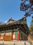 인천영종도, 용궁사, 절, 사찰, prayer, 사진,이미지,일러스트,캘리그라피 - jingjioh작가 크라우드픽 - 저작권 걱정 없는 상업용 이미지