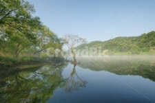 금강로하스, 대전광역시대덕구미호동, 로하스의봄, 대청호오백리길, 금강, 사진,이미지,일러스트,캘리그라피 - 순딩이작가 크라우드픽 - 저작권... 