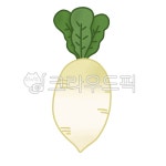 김장, 김치, 무, 순무, food, 사진,이미지,일러스트,캘리그라피 - 앵두빵두 작업실작가 크라우드픽 - 저작권 걱정 없는 상업용 이미지