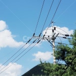 전주다, 전봇대, 하늘, 구름, 니무, 사진,이미지,일러스트,캘리그라피 - Nalstjr990작가 크라우드픽 - 저작권 걱정 없는 상업용 이미지