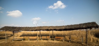 nature, 자연, outdoors, 옥외, 쉼터, 사진,이미지,일러스트,캘리그라피 - 퓨처작가 크라우드픽 - 저작권 걱정 없는 상업용 이미지