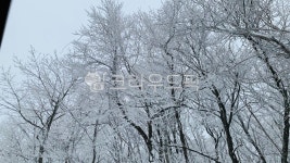 ice, nature, 자연, outdoors, 눈, 사진,이미지,일러스트,캘리그라피 - dearlynn작가 크라우드픽 - 저작권 걱정 없는 상업용 이미지