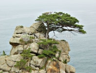nature, 자연, outdoors, 옥외, shoreline, 사진,이미지,일러스트,캘리그라피 - 치과원장작가 크라우드픽 - 저작권 걱정 없는 상업용 이미지