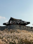 화성행궁, 갈대, 건물, 건축물, 궁, 사진,이미지,일러스트,캘리그라피 - yds2800작가 크라우드픽 - 저작권 걱정 없는 상업용 이미지