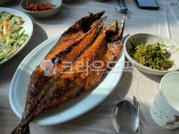 음식, 식사, 고등어, 간고등어, 고등어구이, 사진,이미지,일러스트,캘리그라피 - Ncnxo012작가 크라우드픽 - 저작권 걱정 없는 상업용 이미지