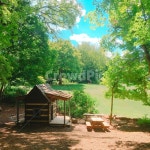 자연, 힐링, 네이처, 그린, 나무, 사진,이미지,일러스트,캘리그라피 - sukee작가 크라우드픽 - 저작권 걱정 없는 상업용 이미지