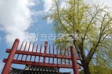 향교, 문앞, 문, 하늘, 나무, 사진,이미지,일러스트,캘리그라피 - 이히힛작가 크라우드픽 - 저작권 걱정 없는 상업용 이미지