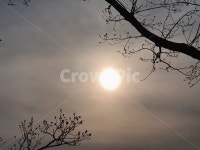 달, 이쁜달, 태양, 산, 빛, 사진,이미지,일러스트,캘리그라피 - 뚱식작가 크라우드픽 - 저작권 걱정 없는 상업용 이미지