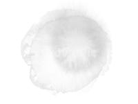 물감, 수채화, 수채화번짐, 옅은수채화, 수채화일러스트, 사진,이미지,일러스트,캘리그라피 - JIU작가 크라우드픽 - 저작권 걱정 없는 상업용 이미지