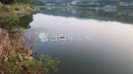 물빛공원, 저수지, 물, water, 자연, 사진,이미지,일러스트,캘리그라피 - 오월의향기작가 크라우드픽 - 저작권 걱정 없는 상업용 이미지