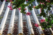 rooftile, 기와, outdoors, 옥외, 꽃, 사진,이미지,일러스트,캘리그라피 - yooofa작가 크라우드픽 - 저작권 걱정 없는 상업용 이미지