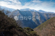 겨울산, 운문산, 사리암, 겨울, 나무, 사진,이미지,일러스트,캘리그라피 - 춤추는고래작가 크라우드픽 - 저작권 걱정 없는 상업용 이미지