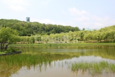 북서울꿈의숲, 공원, 한국, 서울, 정원, 사진,이미지,일러스트,캘리그라피 - binimin작가 크라우드픽 - 저작권 걱정 없는 상업용 이미지