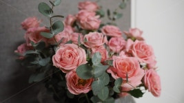 꽃, 장미, 분홍색, flower, rose, 사진,이미지,일러스트,캘리그라피 - note57작가 크라우드픽 - 저작권 걱정 없는 상업용 이미지