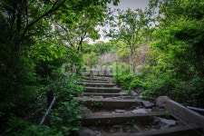 등산, 산길, 산책, 숲속, 숲길, 사진,이미지,일러스트,캘리그라피 - 집시작가 크라우드픽 - 저작권 걱정 없는 상업용 이미지