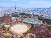 두류공원, 벚꽃, 봄, 계절, 공원, 사진,이미지,일러스트,캘리그라피 - cstrike작가 크라우드픽 - 저작권 걱정 없는 상업용 이미지