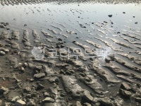 갯벌, 서해, 서해바다, 뻘, 썰물, 사진,이미지,일러스트,캘리그라피 - Fiesta작가 크라우드픽 - 저작권 걱정 없는 상업용 이미지