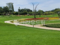 자연, 공원, park, 꽃, 순천만, 사진,이미지,일러스트,캘리그라피 - hun4602작가 크라우드픽 - 저작권 걱정 없는 상업용 이미지