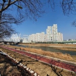 자연, 아파트, 나무, 도로, 옥외, 사진,이미지,일러스트,캘리그라피 - 햇님공주작가 크라우드픽 - 저작권 걱정 없는 상업용 이미지