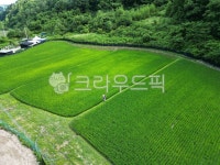 자연, farm, outdoors, 옥외, 조감도, 사진,이미지,일러스트,캘리그라피 - dalrae86작가 크라우드픽 - 저작권 걱정 없는 상업용 이미지