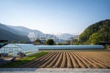 자연, 풍경, 시골, 빛, 산, 사진,이미지,일러스트,캘리그라피 - bitjaruu작가 크라우드픽 - 저작권 걱정 없는 상업용 이미지