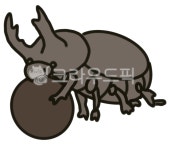 소똥구리, 곤충, 구리, 쇠똥, 굴리기, 사진,이미지,일러스트,캘리그라피 - hjajy1025작가 크라우드픽 - 저작권 걱정 없는 상업용 이미지