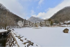 nature, 자연, outdoors, 옥외, 장성, 사진,이미지,일러스트,캘리그라피 - 영산공작가 크라우드픽 - 저작권 걱정 없는 상업용 이미지