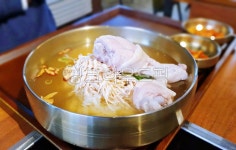육계장, 닭계장, 닭요리, 닭탕, 치킨스튜, 사진,이미지,일러스트,캘리그라피 - Jeenong작가 크라우드픽 - 저작권 걱정 없는 상업용 이미지