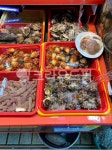 자갈치수산17호 | 해산물, 수산시장, 자갈치시장, 소라, 멍게, 사진,이미지,일러스트,캘리그라피 - photo92작가 크라우드픽 - 저작권 걱정 없는 상업용 이미지