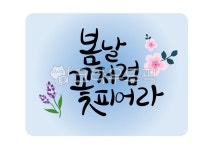 캘리그라피, 손글씨, 예쁜손글씨, 꽃, 봄그림, 사진,이미지,일러스트,캘리그라피 - 지원누림작가 크라우드픽 - 저작권 걱정 없는 상업용 이미지