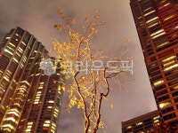 주상복합, 삼성, 고급주택, 양재천, 타워팰리스, 사진,이미지,일러스트,캘리그라피 - Deep bLUE작가 크라우드픽 - 저작권 걱정 없는 상업용 이미지