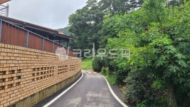 골목, 담벼락, 담장, 아스팔트, 도로, 사진,이미지,일러스트,캘리그라피 - Ming J작가 크라우드픽 - 저작권 걱정 없는 상업용 이미지