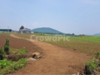 농장, 길, 오름, 들판, 하늘, 사진,이미지,일러스트,캘리그라피 - CAT CLOUD작가 크라우드픽 - 저작권 걱정 없는 상업용 이미지